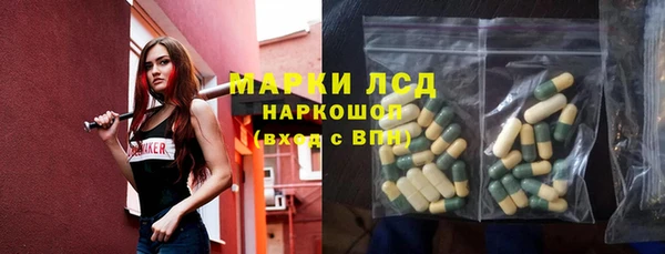 шишки Краснотурьинск