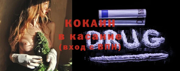 шишки Краснотурьинск