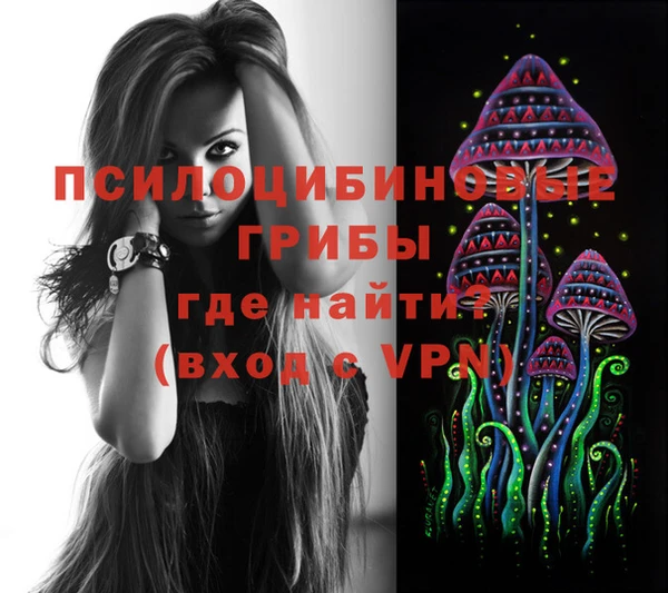 шишки Краснотурьинск