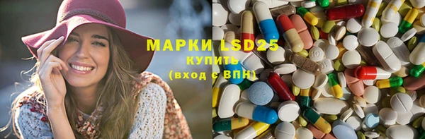 шишки Краснотурьинск