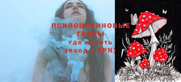 шишки Краснотурьинск