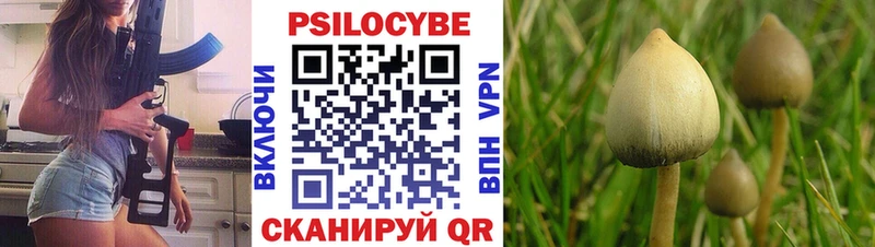 blacksprut зеркало  Приволжский  Галлюциногенные грибы Psilocybine cubensis 